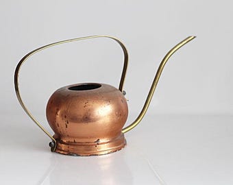 Nice watering can for cacti and pot plants, copper - Decoration