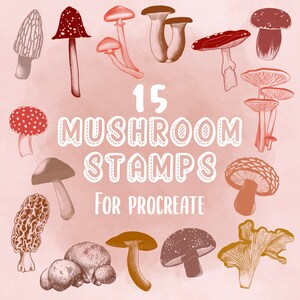 Timbri a forma di fungo per Procreate: Cottagecore Nature Stamps (download digitale)