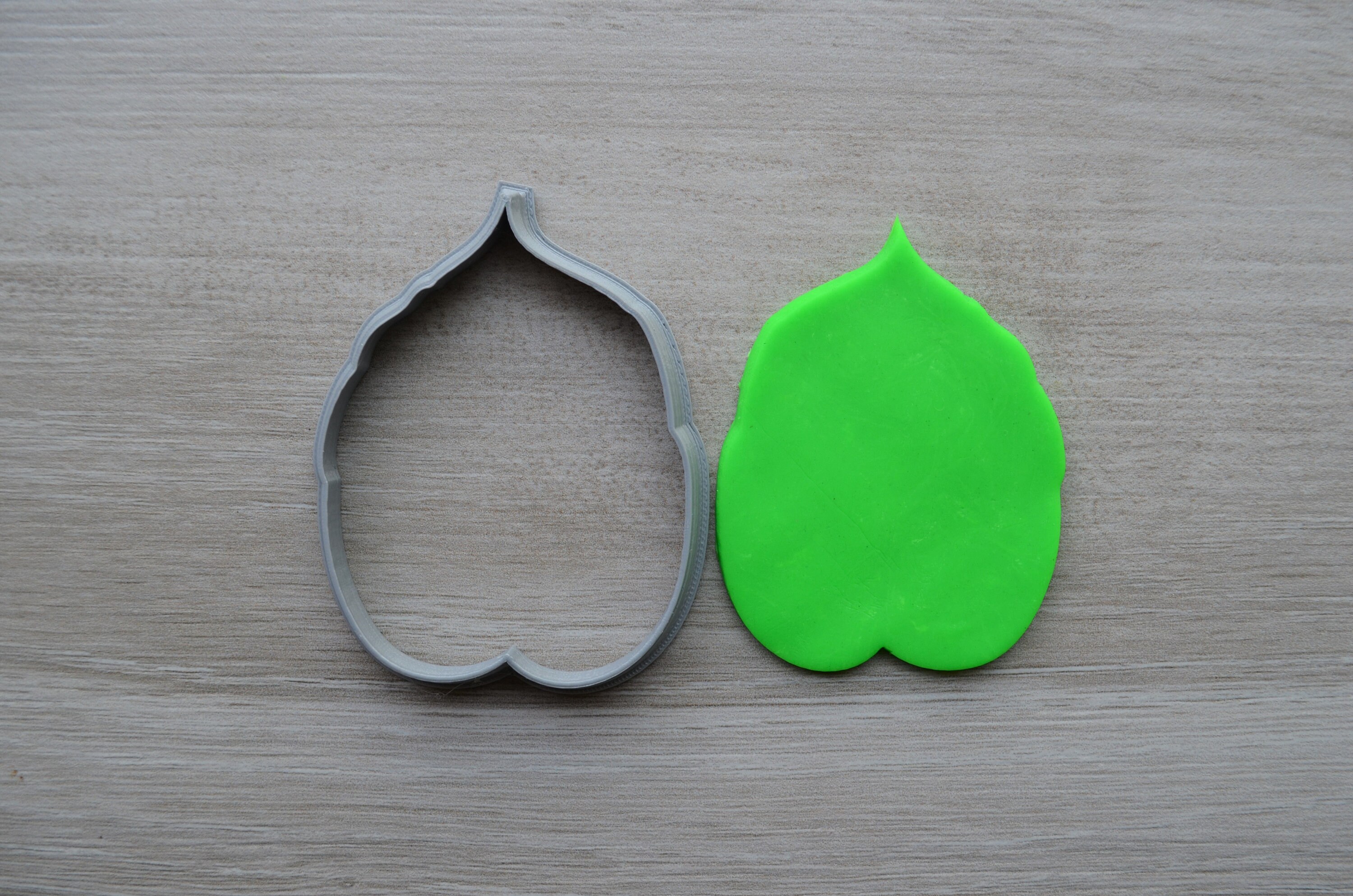 Tropical Leaf Cookie Fondant Cutter &amp; Stamp Fondant