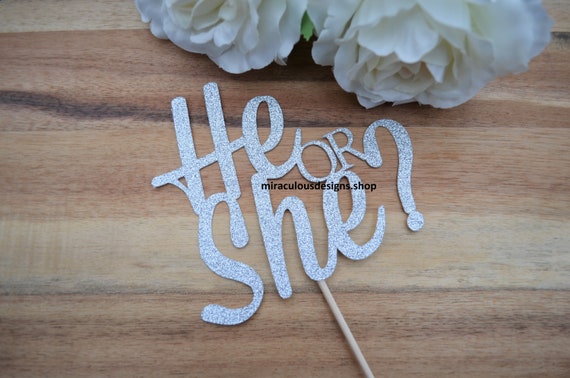He or She Cake Topper - Baby Shower Reveal Cake Topper - Baby Boy Baby Girl Cake Topper