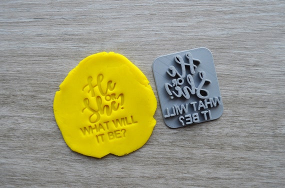 He or She What Will It Be Imprint Cookie/Fondant/Soap/Embosser Stamp