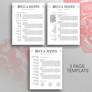 Modern Resume Template: Creative CV Design (Digital Download) image 3