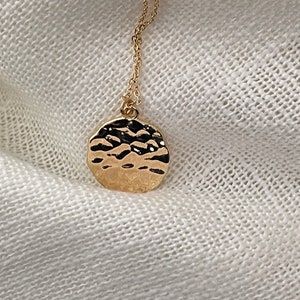 Fleur de Lis Coin Necklace