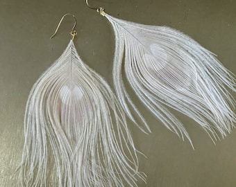 Platinum Blonde Peacock feather earrings