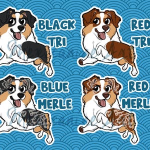 Puede incluir: Cuatro ilustraciones de dibujos animados de perros pastor australiano con diferentes patrones de color. Cada perro está etiquetado con texto: Black Tri, Red Tri, Blue Merle y Red Merle. Los perros aparecen en una pose juguetona con pecho y patas blancas.