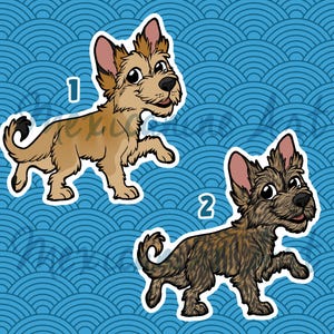 Berger Picard-sticker || Picardische herdershond puppy, vinyl, handgetekende illustratie, briefpapier, digitale kunst
