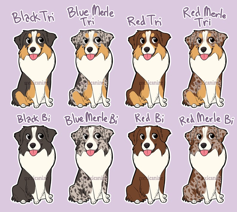 Australian Shepherd Sticker Aussie Chibi Puppy Dog Vinyl Etsy