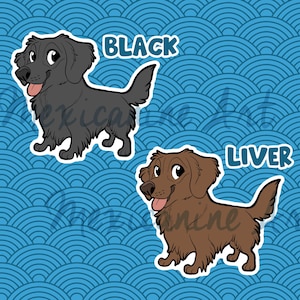 May include: Two cartoon illustrations of a dog, one black and one brown, with the words "BLACK" and "LIVER" above them.
