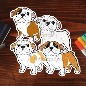 Bulldog Sticker || English Bulldog Puppy Dog, Vinyl, Hand Drawn Illustration, Stationery