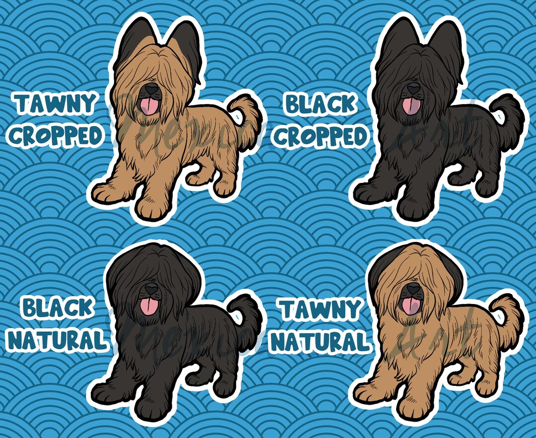 Briard Sticker || Chibi Puppy Dog, Vinyl, Hand Drawn Illustration