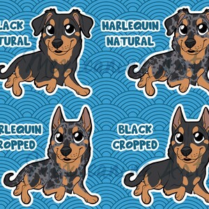 May include: Four digital illustrations of a cartoon dog with different coat colors and ear styles. The dog is black with a natural tail, black with cropped ears, harlequin with a natural tail, and harlequin with cropped ears. The illustrations are on a blue background with a wave pattern.