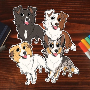 Border Collie (Rough) Sticker || Chibi Puppy Dog, Vinyl, Hand Drawn Illustration, Stationery, Digital Art, Kawaii