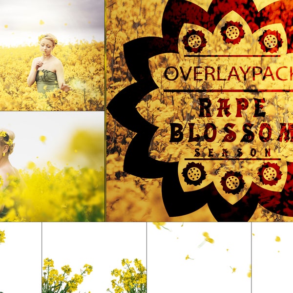 Rape Blossum Season – 30 Rapsblüten Overlays