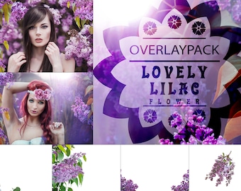 Lovely Lilac - 30 Flieder Overlays