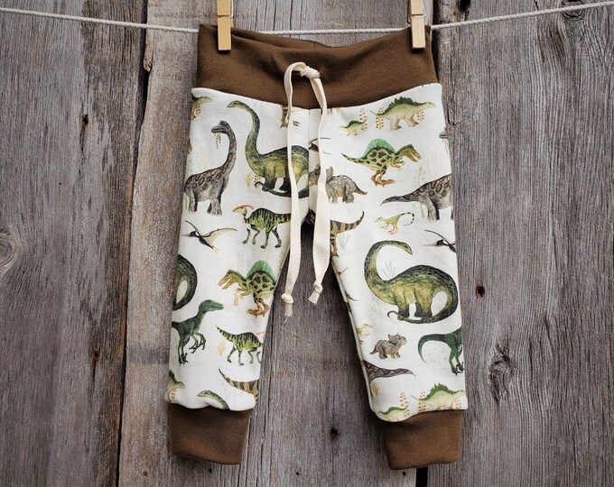 Dinosaur Baby Organic Baby Clothes Dinosaur Clothes Organic Etsy