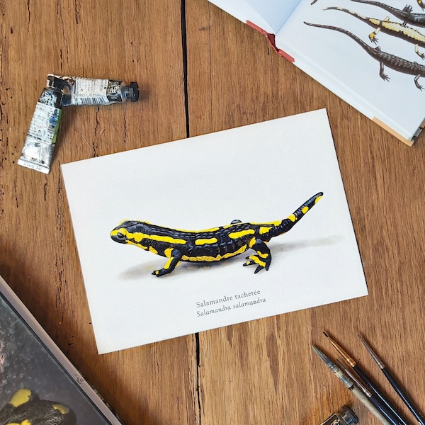 impression Salamandre/Tirage d'art salamandre/print salamandre/carte postale salamandre/aquarelle salamandre