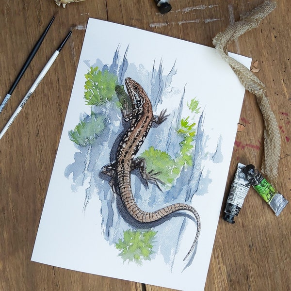 Tirage d'art Lézard des murailles/ print lézard/aquarelle lézard/illustration reptile