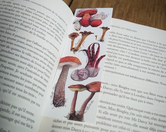 May include: A close-up of a bookmark featuring a watercolor illustration of mushrooms in shades of red, orange, and brown. The bookmark is made of paper and has a white background. The text "Orgueil et Préjugés" is printed on the bookmark.