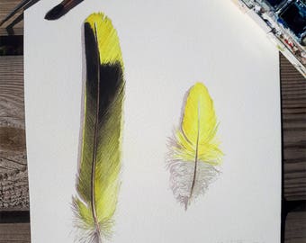 Aquarellle feather / Original Watercolor Feather