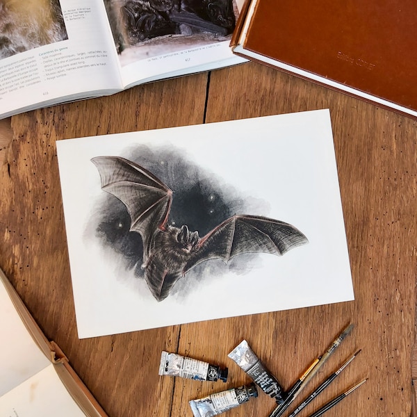 tirage d'art Barbastelle/impression chauve-souris/impression barbastelle/bat print/bat drawing/bat painting