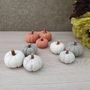 May include: A collection of nine miniature pumpkins in various shades of grey and orange. The pumpkins are arranged on a light wood surface.