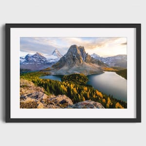 Golden Larches Autumn Landscape Print | Niblet Mountain Wall Art, Rocky Mountains Scenic Photography
