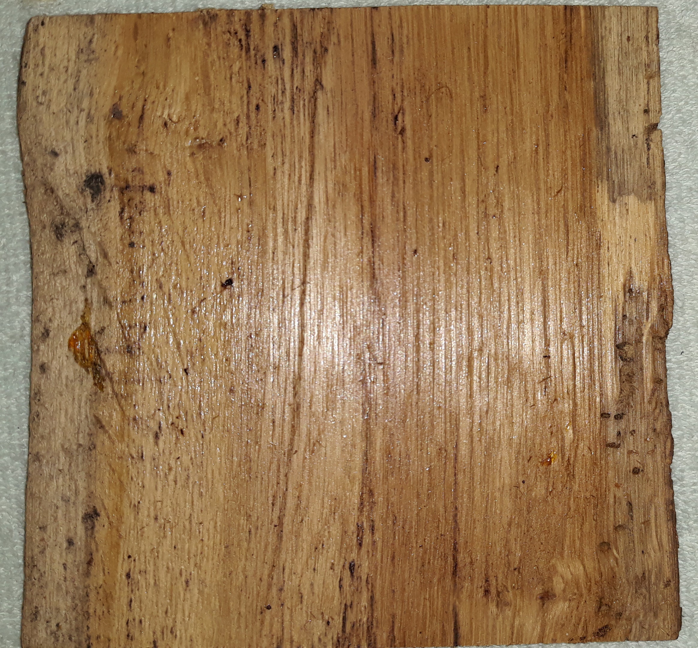 Live Edge Extreme Rustic Solid Oak Log Switch and Outlet Covers - Etsy
