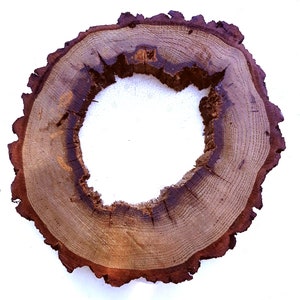 Live Edge Hollow Rustic Solid Oak Log
