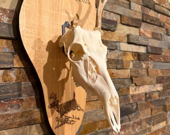 Personalized Euro Deer Mount Plaque: Hunter Gift