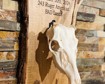Personalized Euro Deer Mount Plaque: Rustic Hunter Gift