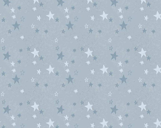 FLANNEL Stargazing Boy Stars Blue, Double Napped Flannel, by the Riley ...