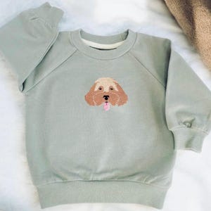 May include: A pale green sweatshirt with a brown dog face embroidered on the front. The dog has a pink tongue sticking out. The sweatshirt has a crew neck and long sleeves.