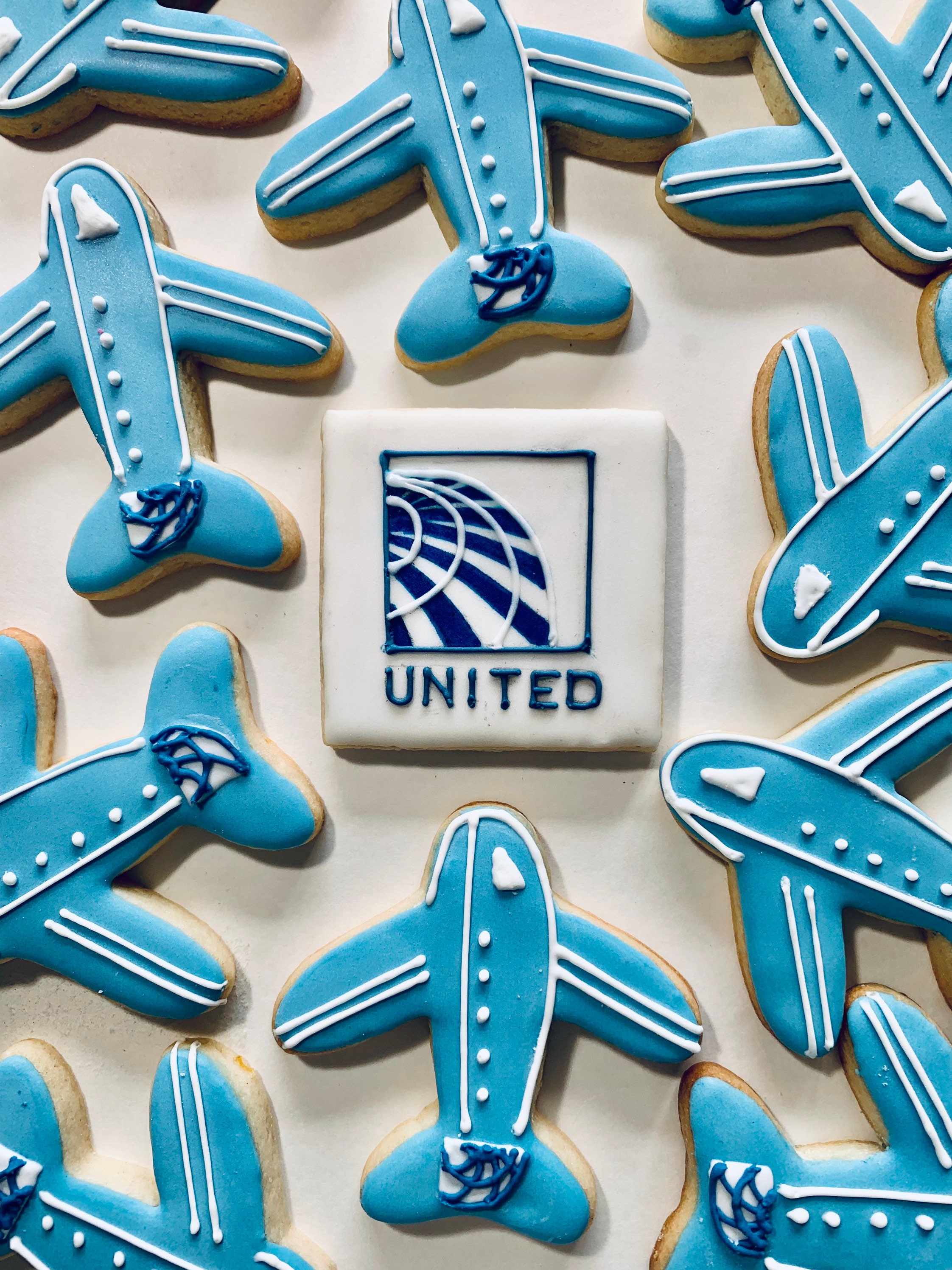 Aviation Airplane Sugar Cookies Pilot Gift Baby Shower Etsy