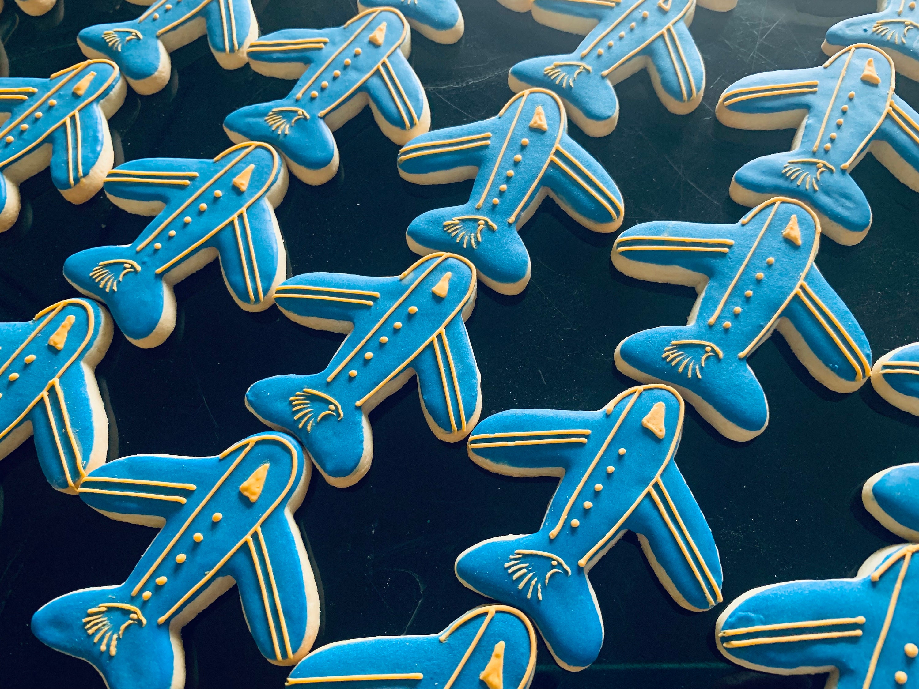 Aviation Airplane Sugar Cookies Pilot Gift Baby Shower Etsy