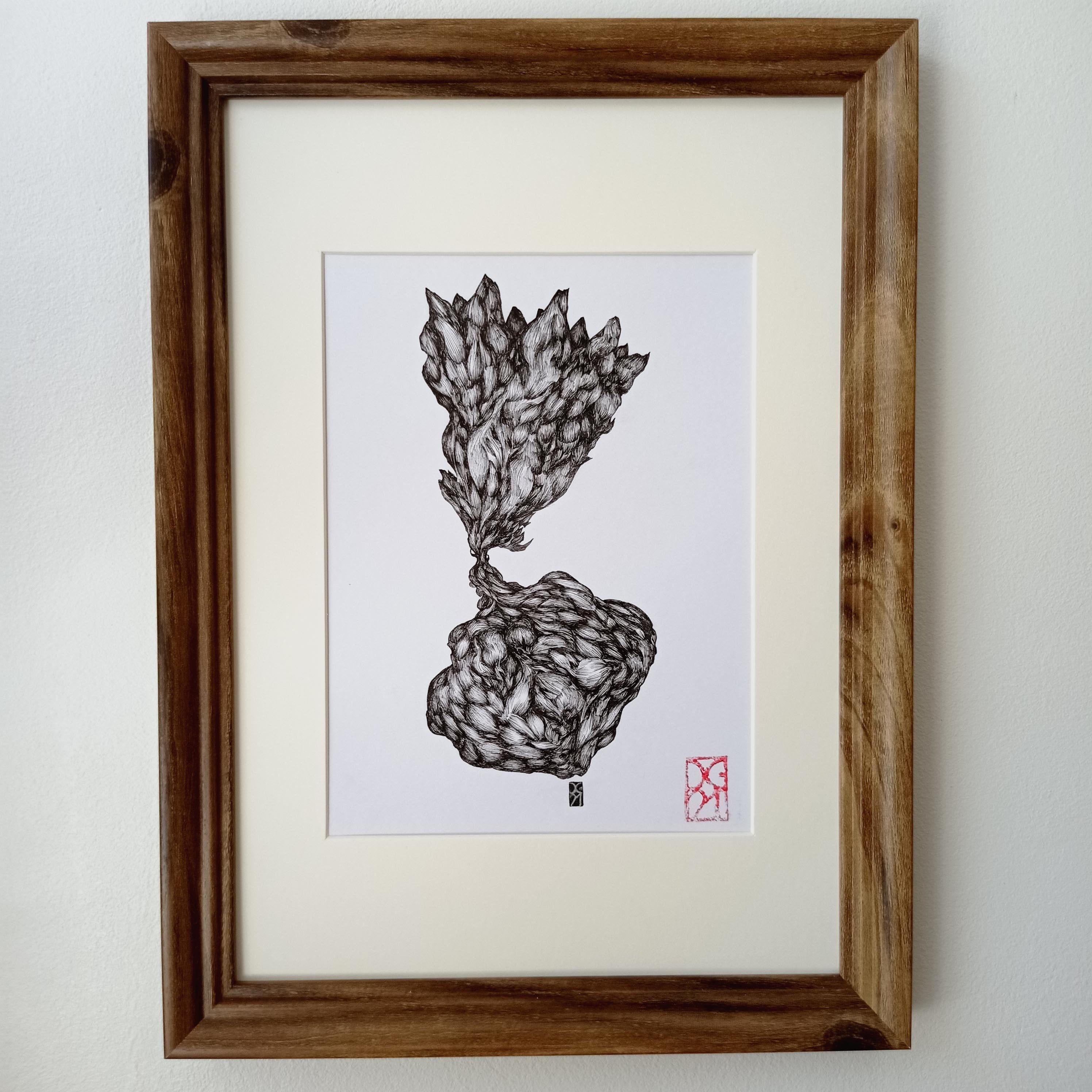 Original work Turnip ink on bristol paper 21cmx15cm with its frame