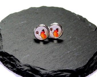 Stud earrings * Silver moth *