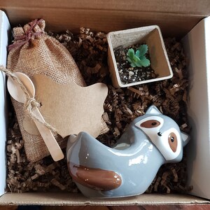 May include: A gray ceramic raccoon planter with brown ears and a white face, a small brown burlap bag with a wooden spoon, a small brown paper pot with a green succulent plant, and brown paper shreds in a cardboard box.