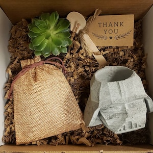 May include: A gift box filled with brown packing paper, a small succulent plant in a pot, a burlap bag, a small wooden spoon, and a gray concrete planter shaped like Darth Vader's helmet. A small brown card with the text "Thank You" is included.