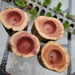 May include: Four wooden candle holders with a natural wood finish and a red-brown interior. The holders are made from tree trunks and have a rustic look.