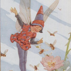carte postale vintage, fée abeille, Margaret Tarrant, série fées de la campagne, roses sauvages, carte Médicis inutilisée, années 1930, 90 x 140 mm