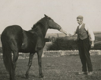 Antique real photograph postcard: man and horse, RPPC, 1900s, 139 x 88 mm