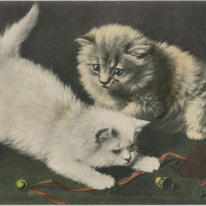 Chatons, accessoires de couture, carte postale édouardienne antique, illustration de couldery, carte imprimée colorée à la main, chats blancs et gris, dé à coudre, années 1900
