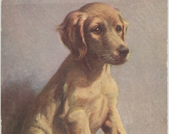 Vintage dog postcard: Saluki puppy, Eastern Greyhound, publisher Godfrey Phillips /  De Reszke Cigarettes, card No 3, 1930s, 89 x 127 mm