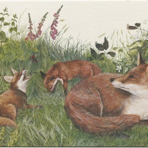 carte postale vintage de renards et d'oursons, artiste Caroline Manning, carte Médicis inutilisée, années 1980, 149 x 105 mm