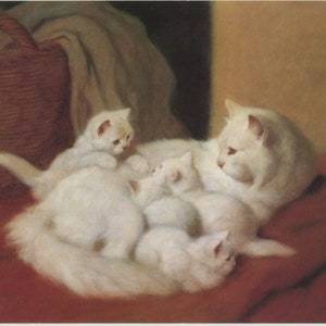 carte postale d'art vintage, chat blanc et chatons, Arthur Heyer, La nouvelle portée, carte Médicis inutilisée, années 1980, 149 x 105 mm