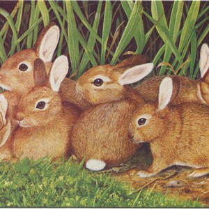 carte postale vintage de bébés lapins, H A Heyburn, jeunes lapins dans l'herbe, carte d'art Médicis, années 1980, 149 x 105 mm