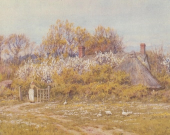 Vintage postcard: ducks in flower meadow, artist Helen Allingham, publisher Gallery Five, 1978, 146 x 105 mm