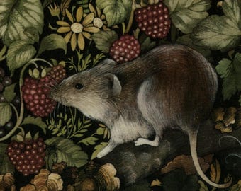 Vintage postcard: Shrew, artist Valerie Greeley, Camden Graphics 1979, 105 x 147 mm