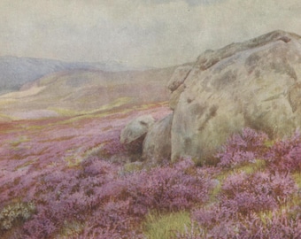 Vintage postcard: Heather, artist Marius Forestier, Medici Wild Flower Series, c 1940s, 150 x 105 mm