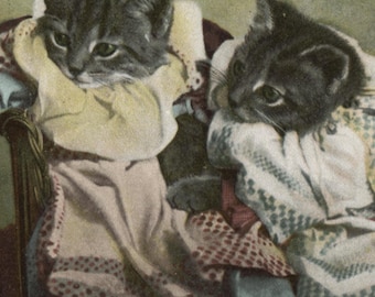 Antique postcard: anthropomorphic kittens in dresses, 'Criticism', publisher Frith, postmark 1906, 138 x 88 mm